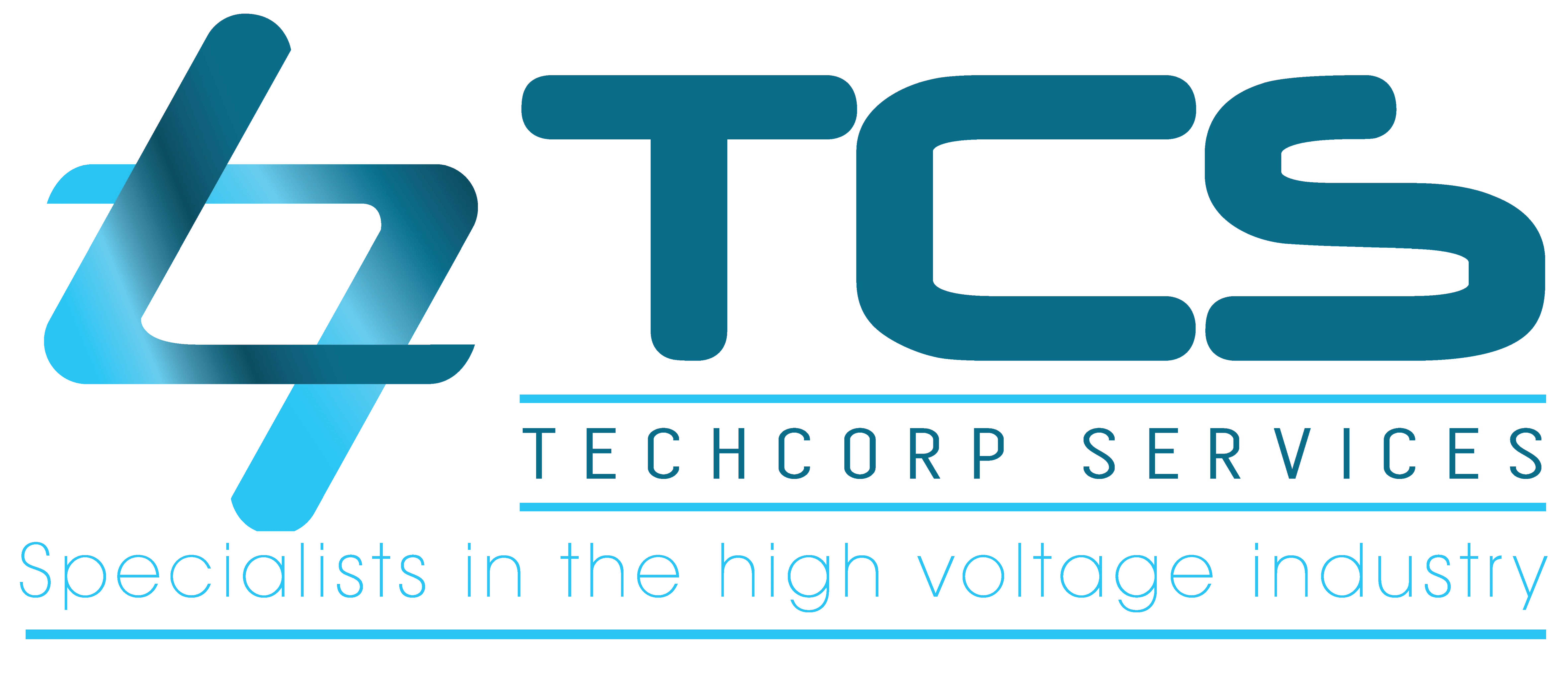 TechCorp Services